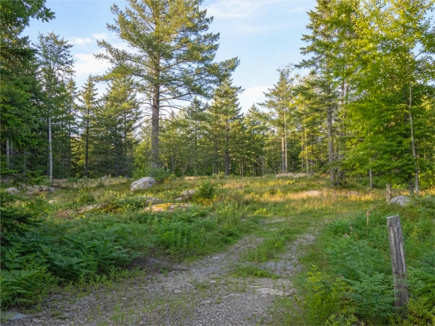 Rural Access Parcels in Eagle River